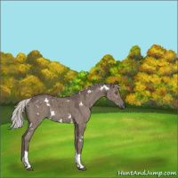 Horse Color:White Spotted Silver Grullo Tobiano Brindle