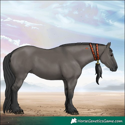 Horse Color:Grullo 