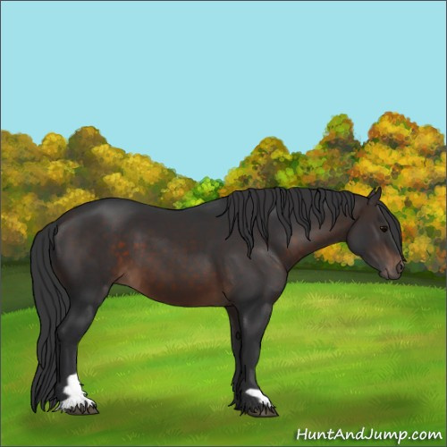 Horse Color:Brown 