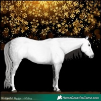 Horse Color:Gray White Spotted Liver Chestnut 