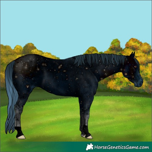 Horse Color:ERROR: UNKNOWN ANOMALY