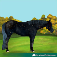 Horse Color:ERROR: UNKNOWN ANOMALY