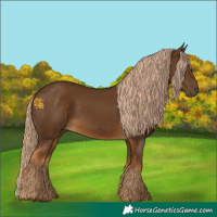 Horse Color:Chocolate Palomino 