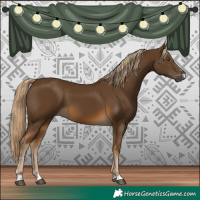 Horse Color:Chocolate Palomino 