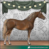 Horse Color:Chocolate Palomino 