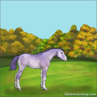 Horse Color:Watercolor Bay Pearl Onyx Sabino 