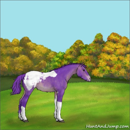 Horse Color:Watercolor Brown Sabino Tobiano Appaloosa