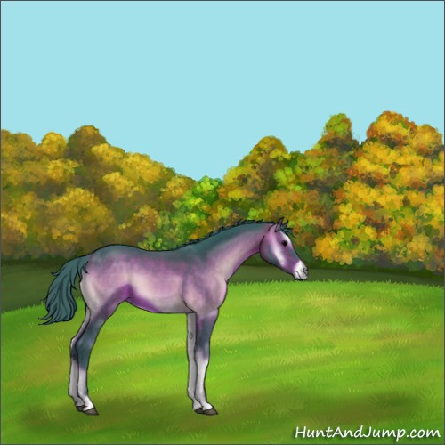 Horse Color:Watercolor Brown Onyx 