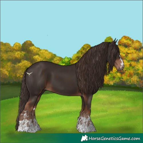 Horse Color:Liver Chestnut and Liver Chestnut