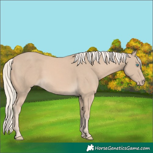 Horse Color:Cremello 