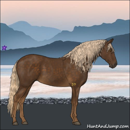 Horse Color:Chocolate Palomino