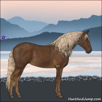 Horse Color:Chocolate Palomino 