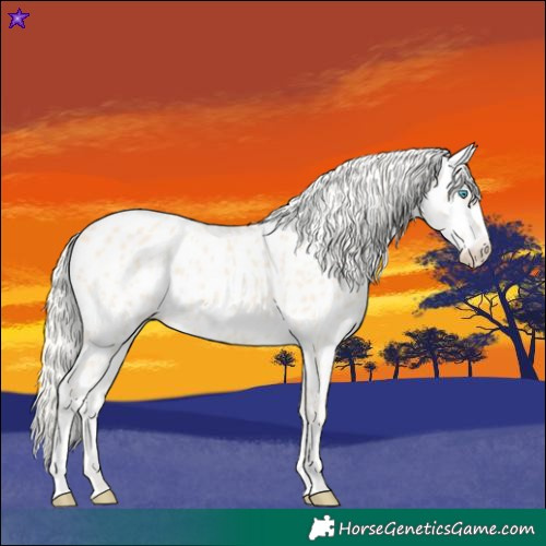 Horse Color:Cremello Near Leopard