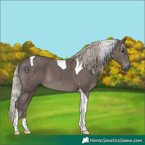 Horse Color:Silver Black Tobiano 