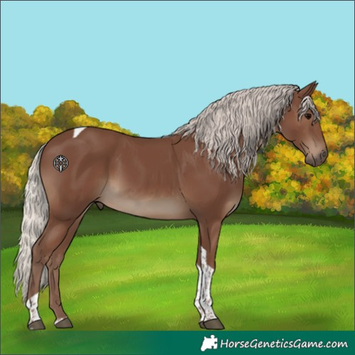 Horse Color:Silver Black Tobiano 