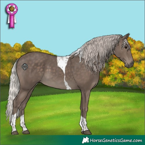 Horse Color:Silver Black Tobiano 