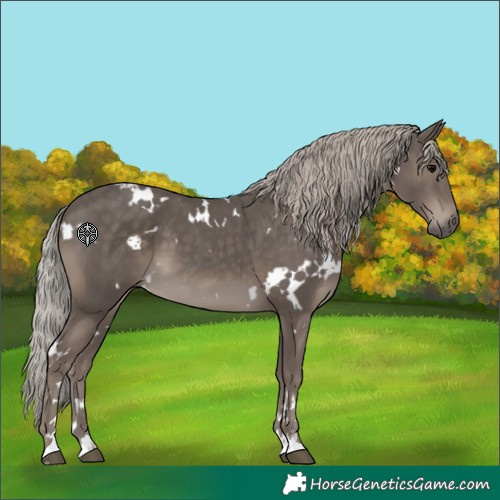Horse Color:White Spotted Silver Black 