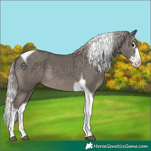Horse Color:Silver Black Splash Tobiano 