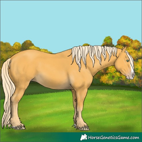 Horse Color:Gold Cream Champagne Splash 