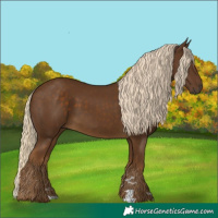 Horse Color:Chocolate Palomino 