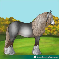 Horse Color:Gray Chocolate Palomino 