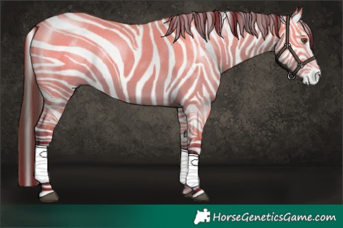 Horse Color:Buckskin Dun Splash 