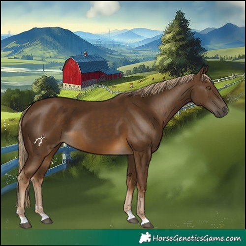 Horse Color:Chocolate Palomino 