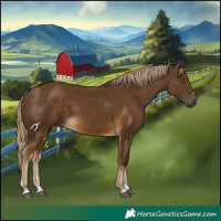 Horse Color:Chocolate Palomino 