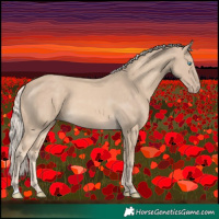 Horse Color:Cremello 
