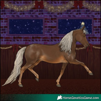 Horse Color:Chocolate Palomino 
