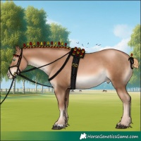 Horse Color:Liver Chestnut Pearl 
