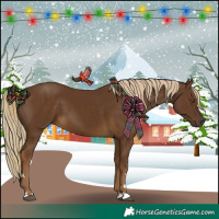 Horse Color:Chocolate Palomino 