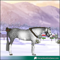 Horse Color:Gray White Spotted Liver Chestnut 