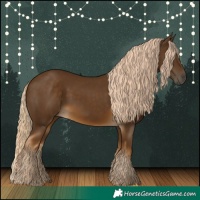 Horse Color:Chocolate Palomino 