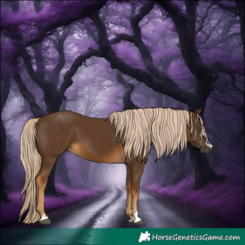 Horse Color:Chocolate Palomino 