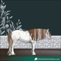 Horse Color:Liver Red Dun Roan Pearl Splash Tobiano Near Leopard 