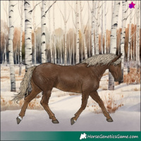 Horse Color:Chocolate Palomino 