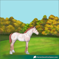 Horse Color:Watercolor Liver Red Dun Ice 