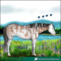 Horse Color:Brown Sabino Splash 