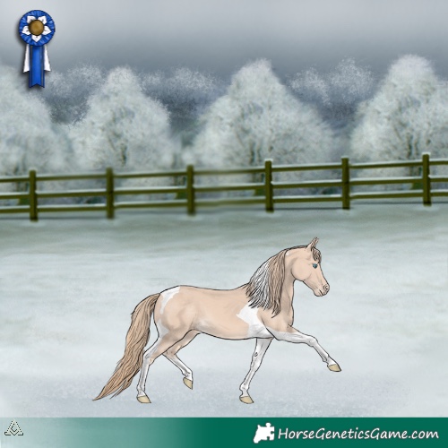 Horse Color:Perlino Tobiano 