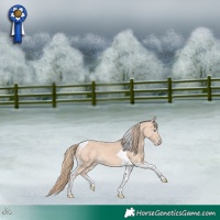 Horse Color:Perlino Tobiano 