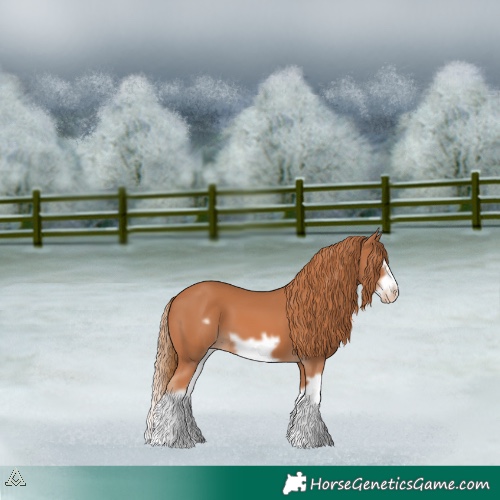 Horse Color:Chestnut Splash Frame Varnish 