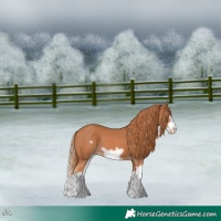 Horse Color:Chestnut Splash Frame Varnish