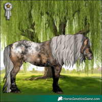 Horse Color:Void White Spotted Silver Buckskin Ice