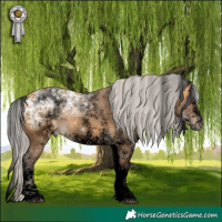Horse Color:Void White Spotted Silver Buckskin Ice 