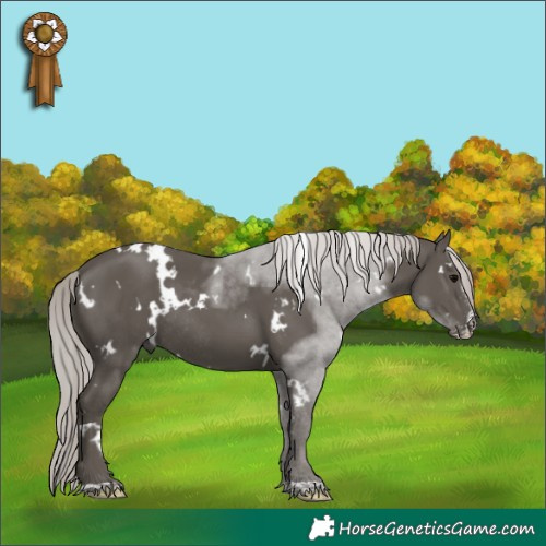 Horse Color:White Spotted Silver Black Sabino Rabicano 