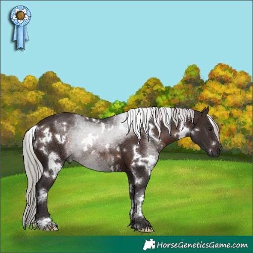 Horse Color:White Spotted Silver Brown 