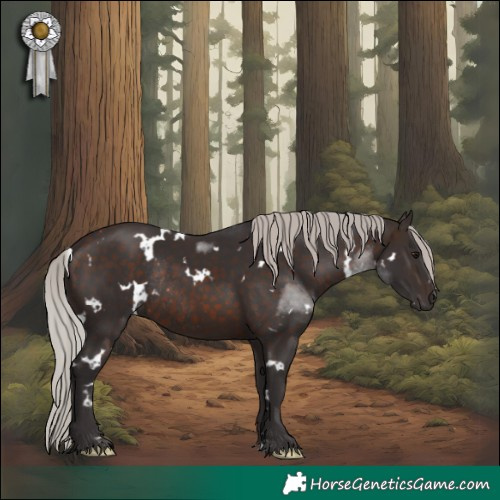 Horse Color:White Spotted Silver Brown Rabicano
