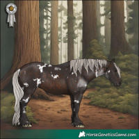 Horse Color:White Spotted Silver Brown Rabicano 