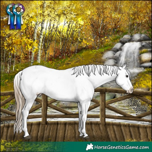 Horse Color:Smoky Blue Roan Appaloosa Rabicano 